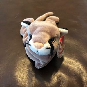 Vintage TY Beanie Baby Canyon